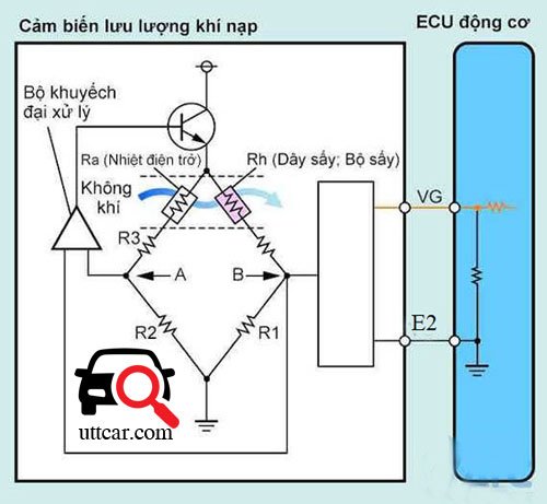 Hướng dẫn đọc chân hộp đen (ECU) xe Camry 2002